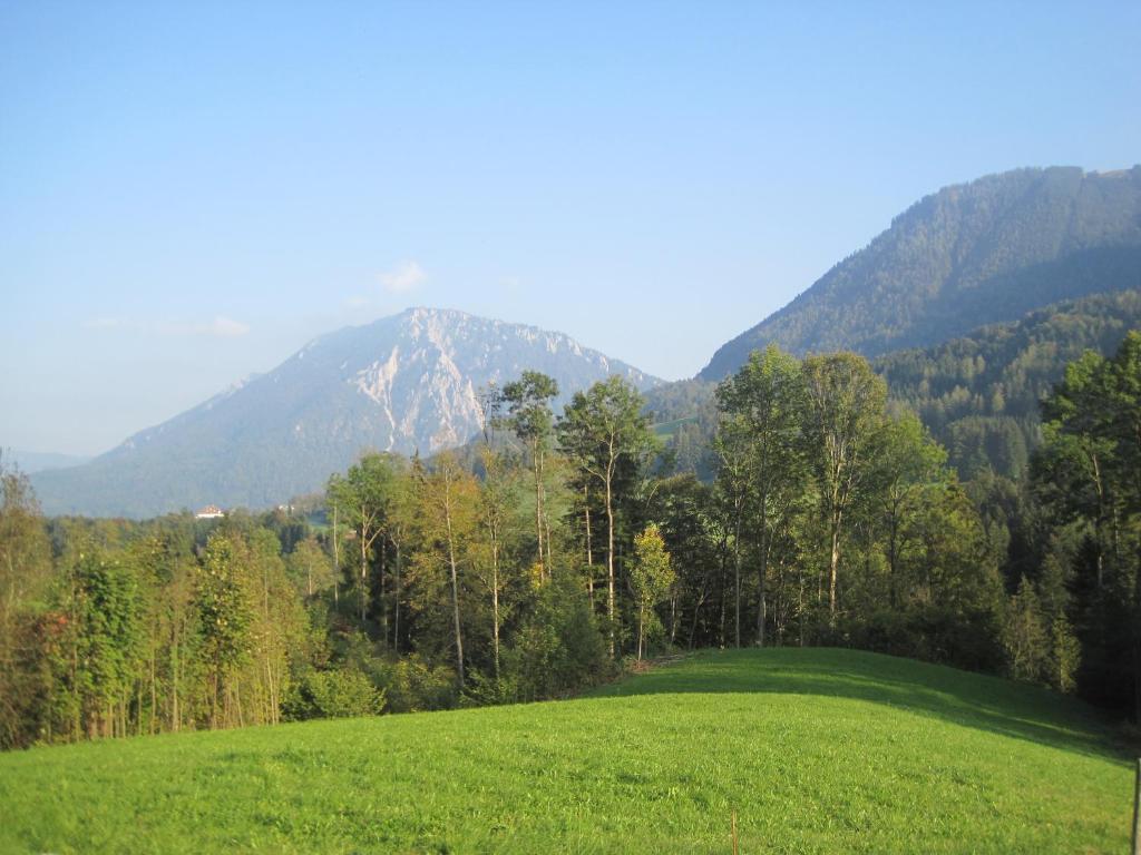 Almbauernhof Ruhpolding